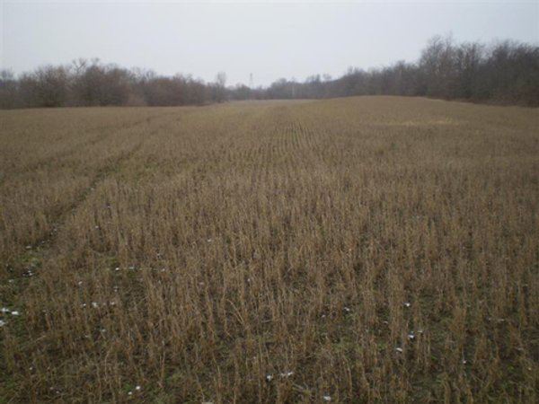 42 Acres Offered in 3 Tracts